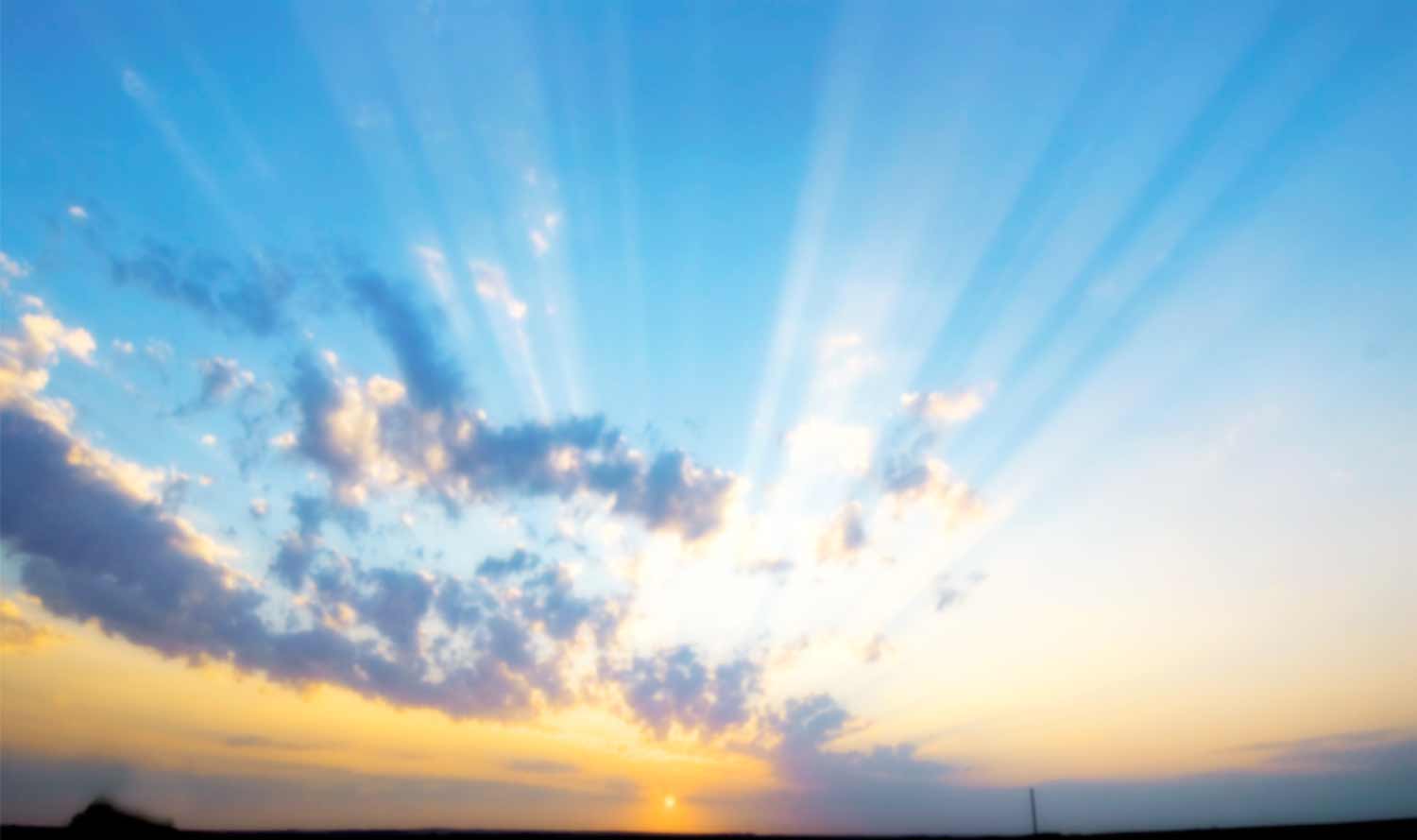 The sky's the limit with Lawn Lovers products!